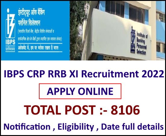 IBPS CRP RRB XI Recruitment 2022